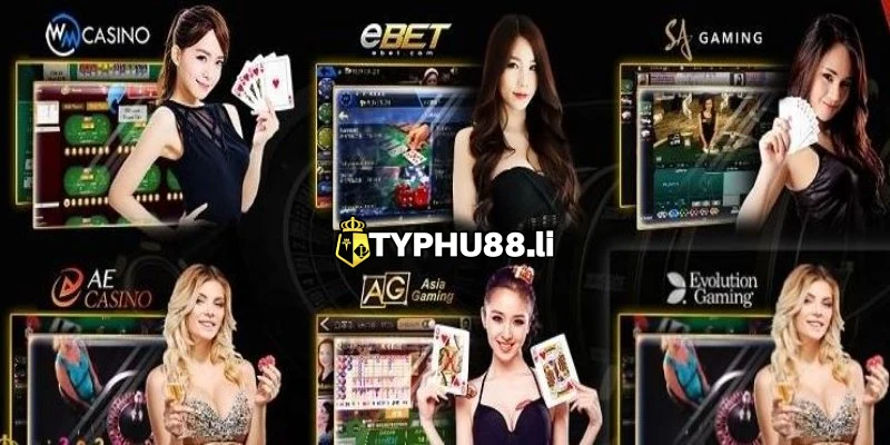 casino-typhu88-hap-dan